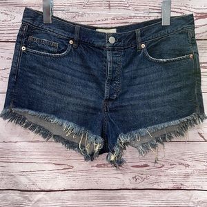 We The Free Relaxed Cut Off Shorts Size 31